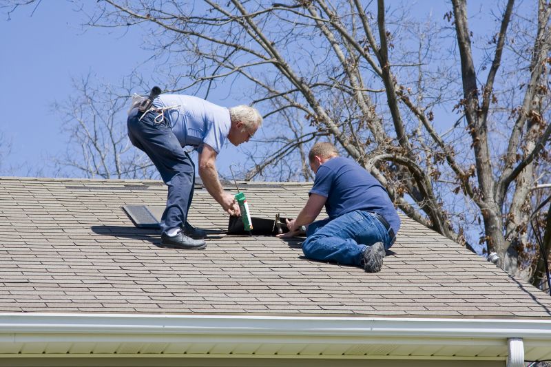 Roof Repair in Spring